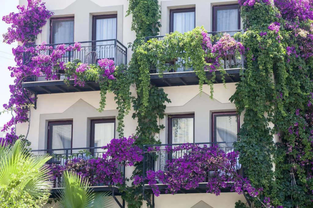 Golden Age Crystal Bodrum - All inclusive - Гюмюшлюк