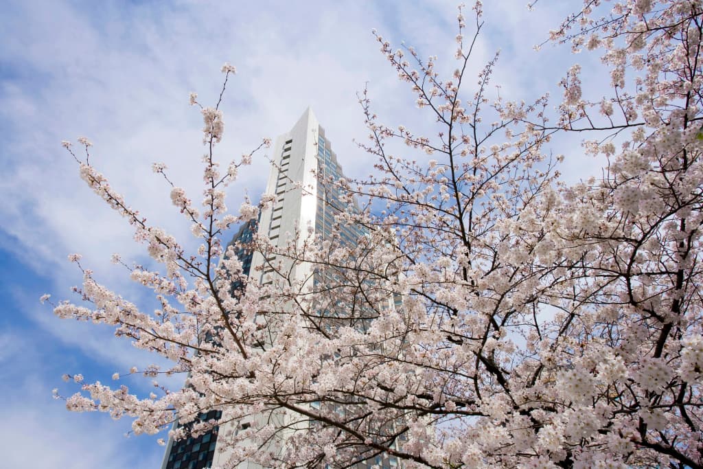 InterContinental ANA Tokyo by IHG - Токио
