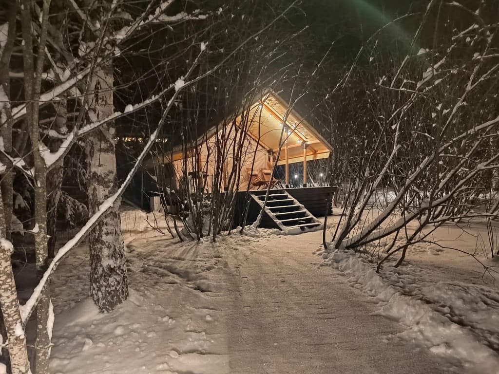 Видомлицы - Новгородская область