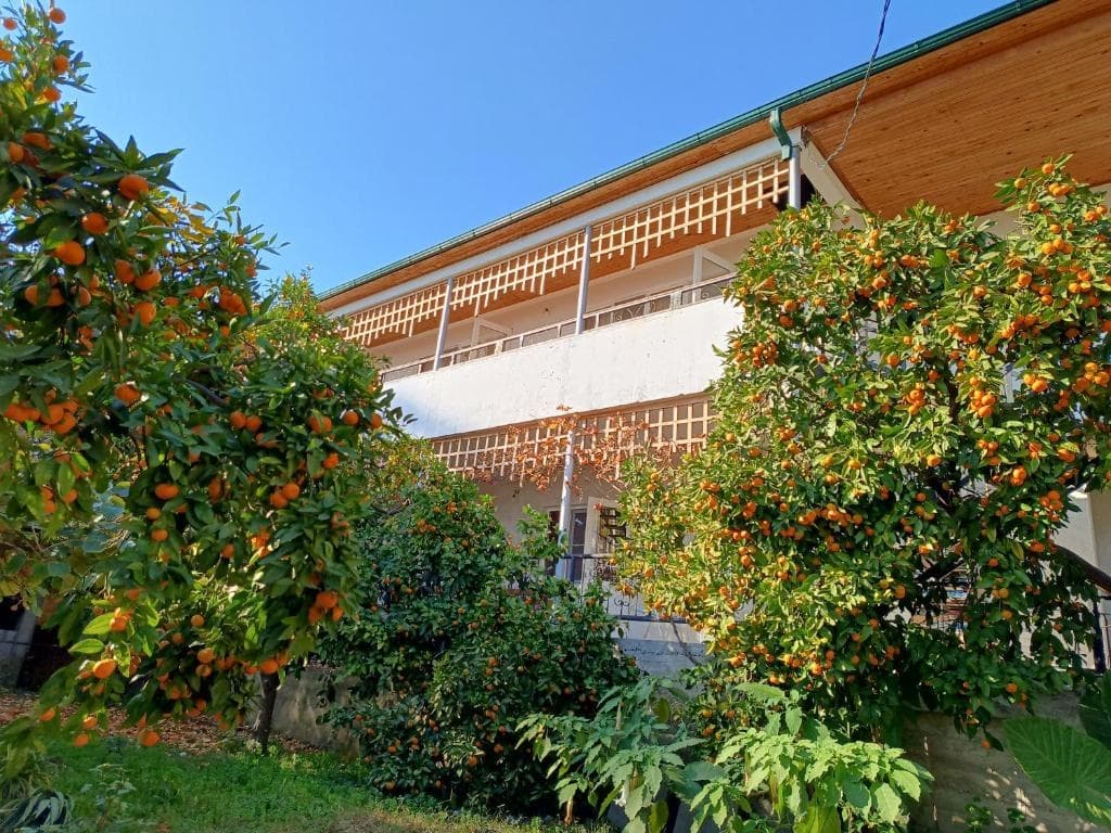 Inzhir Guest house - Новый Афон