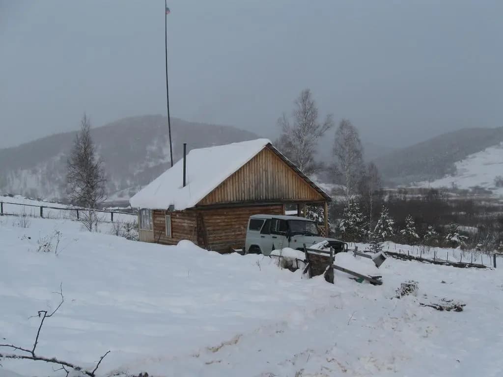 Dauria - Барнаул
