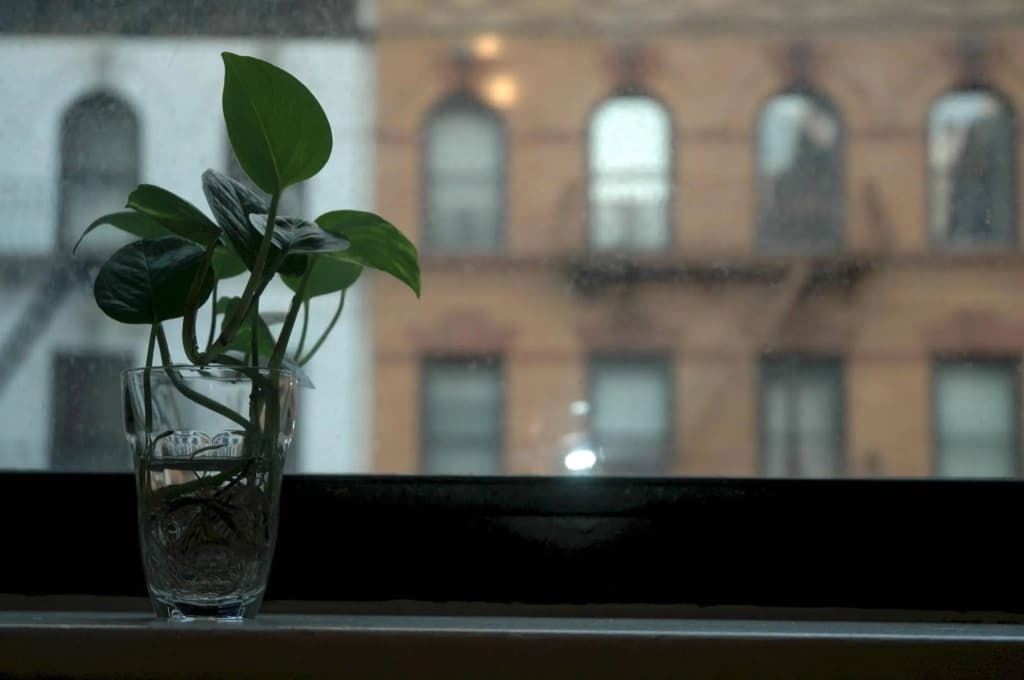 Midtown East 1BR Six DR27 - Нью-Йорк