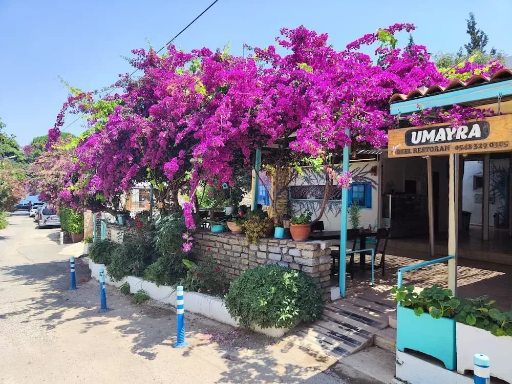 Umayra Otel - Торба