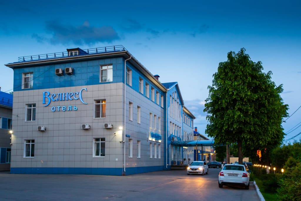 Отель Велнесс - Тула