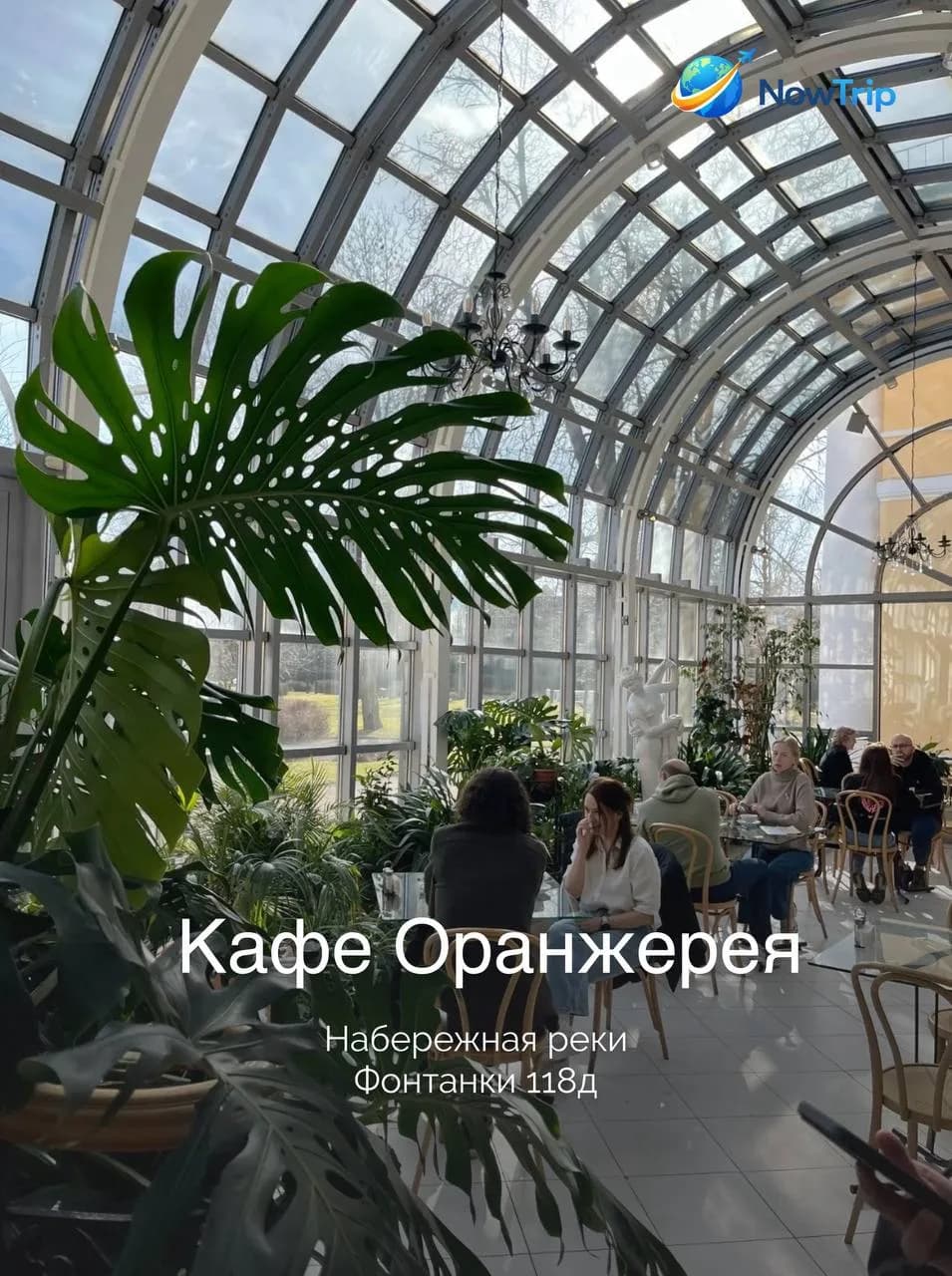Зал кафе Оранжерея под изогнутой стеклянной крышей с живой зеленью