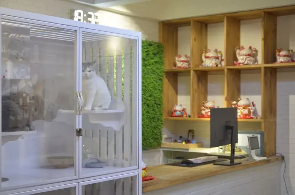 Shiguang Guesthouse - Санья